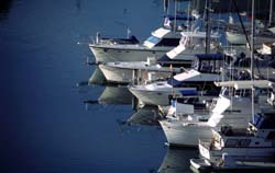 We can help when you need a title replaced